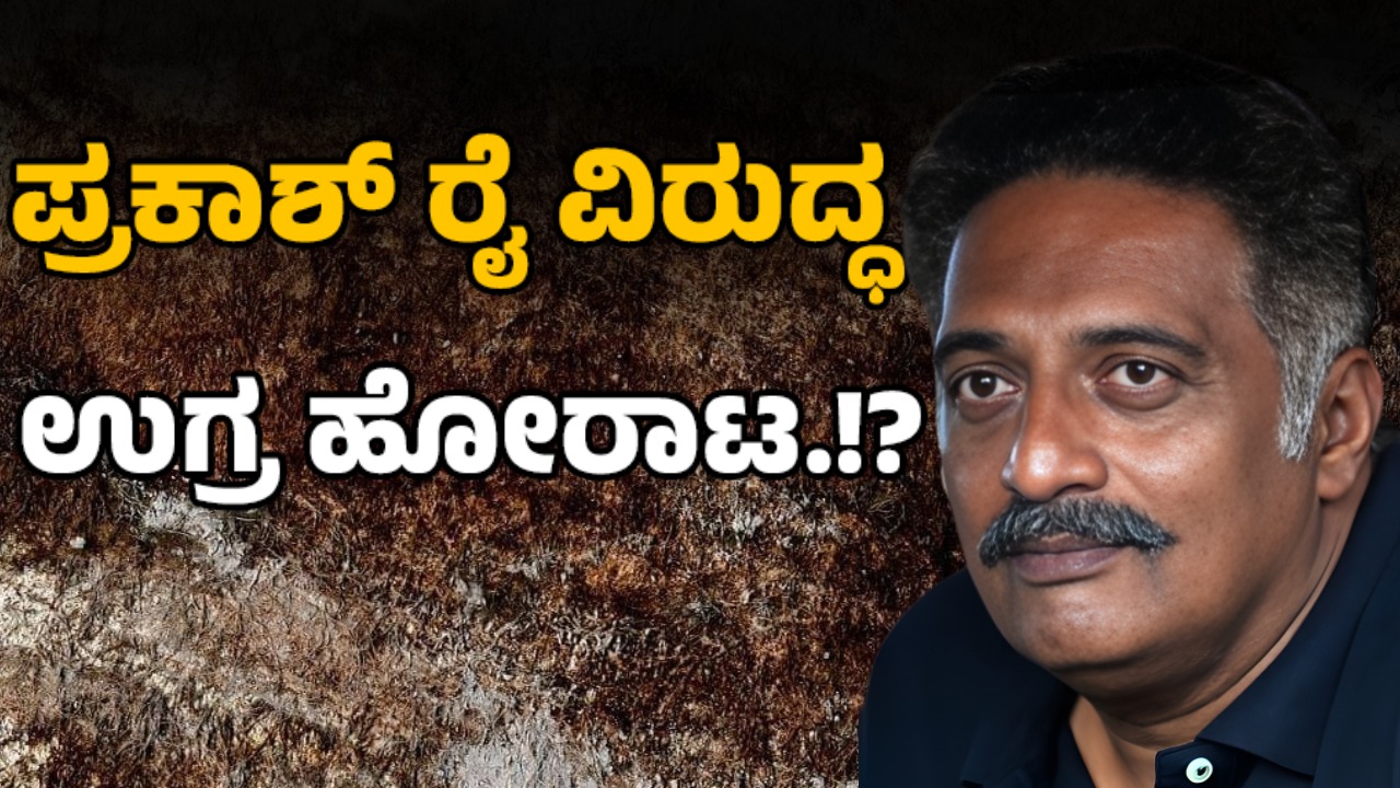 Why Did Bengaluru Film Fest Pick Prakash Raj as Its Brand Face? | ಸಿನಿಮೋತ್ಸವಕ್ಕೆ ಪ್ರಕಾಶ್‌ ರಾಜ್‌ ಯಾಕೆ? ರಾಯಭಾರಿ ಬದಲಿಗೆ ಬಿಜೆಪಿ ಎಚ್ಚರಿಕೆ...!
